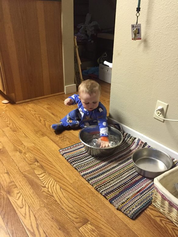 11231903_10101414138332552_5666925917633093371_n