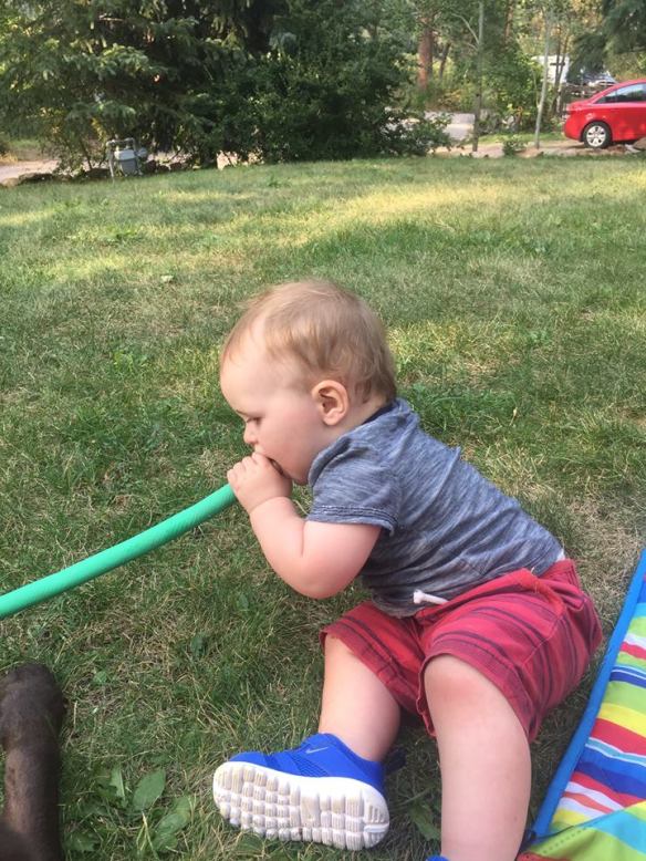 11903775_10101464541379442_5115683353017701011_n