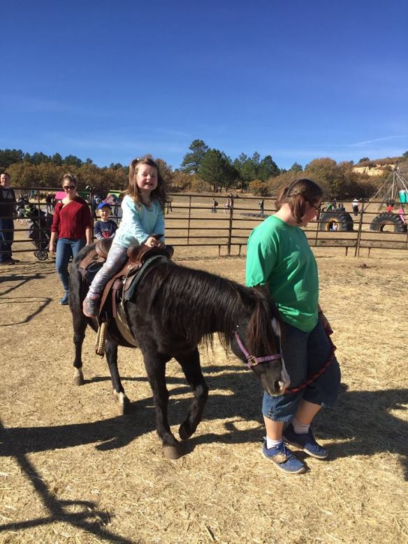 12036532_10101529747989872_500133219953941651_n