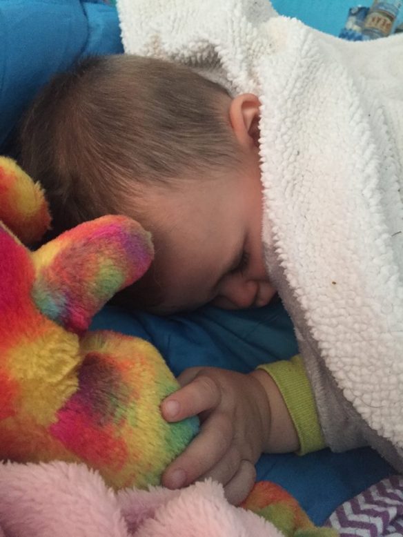 13920712_10101860255749672_6603069008415982522_n